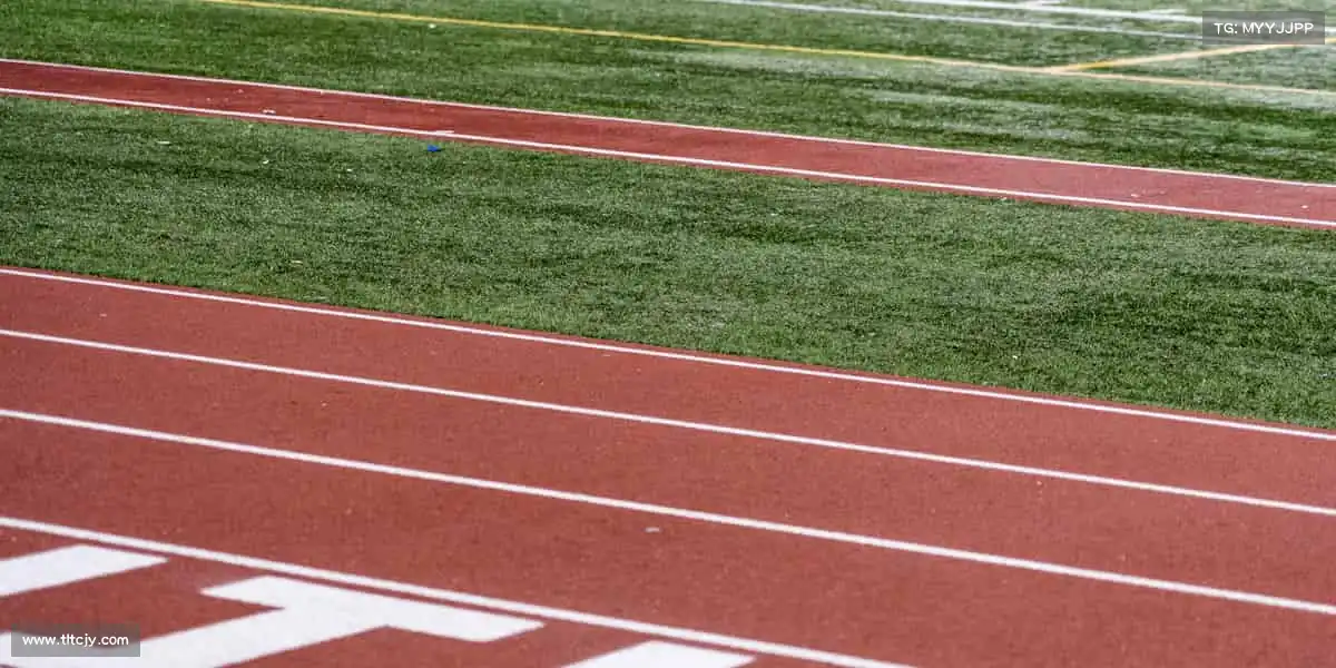 行业领先的理由